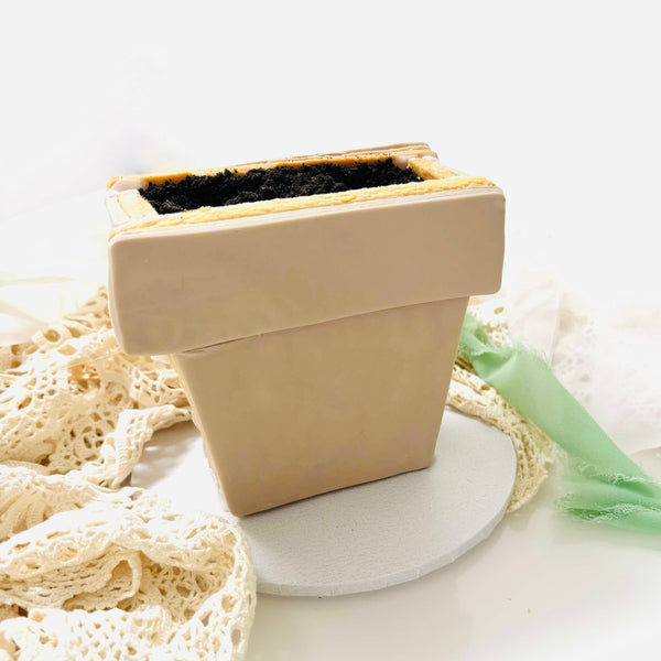 3D Flower Pot + Flowers Bento Full Set (SweetP)