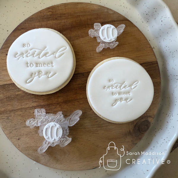 So Excited To Meet You Impression Stamp (Sarah Maddison Creative)