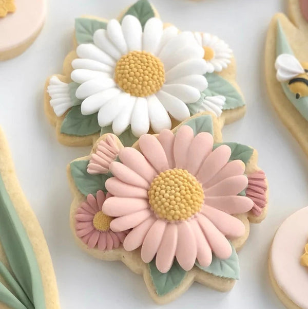 Daisy Silicone Mould Kit (Little Bikkie)