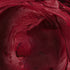 files/MERLOT.webp