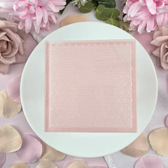 Star Tulle Pattern Plate