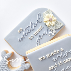 So Excited to Meet You - Debosser (Sarah Maddison)