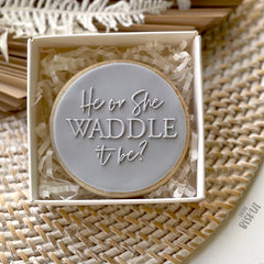 He or She, Waddle It Be? Debosser (Little Biskut Level Up!)