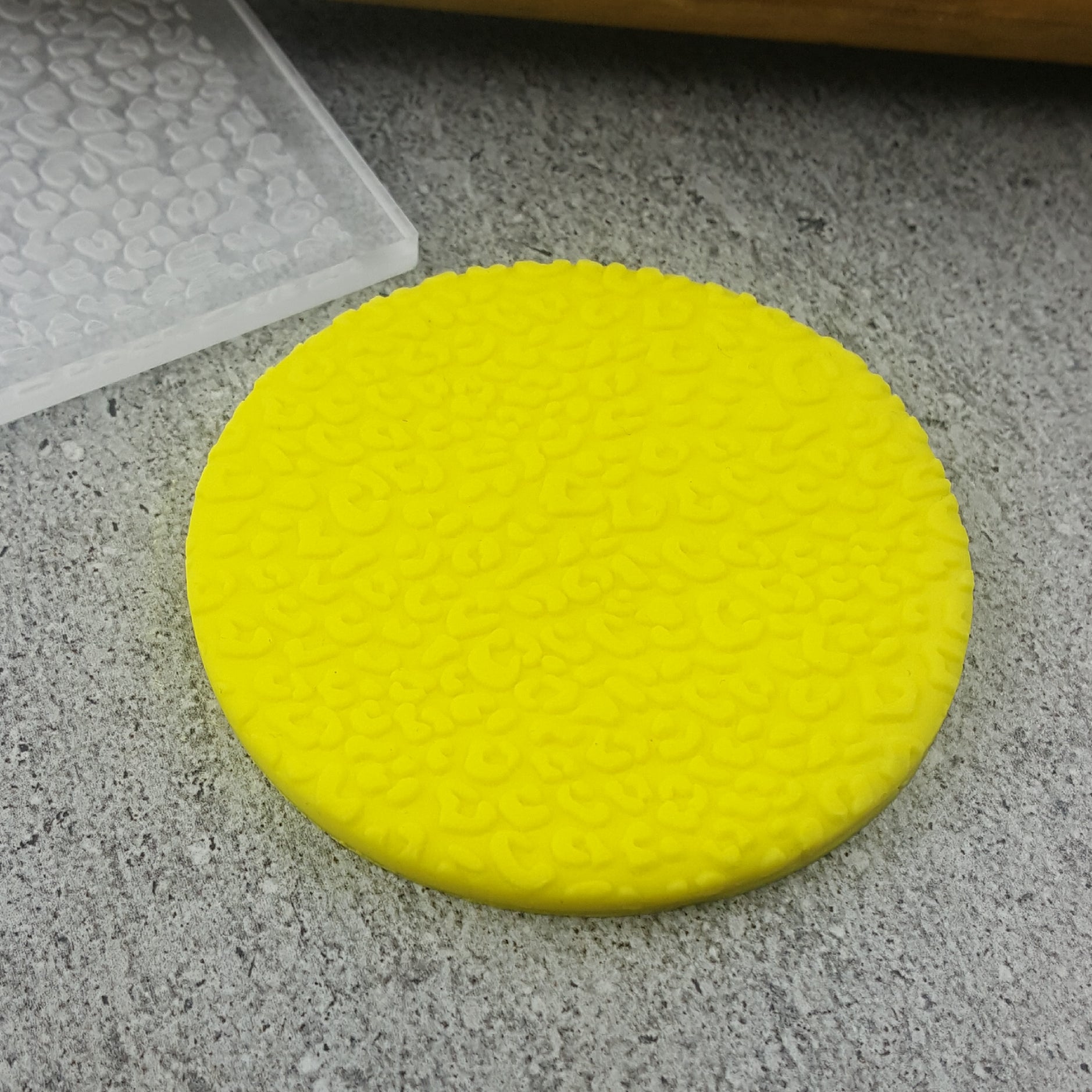 Leopard Print Pattern Plate