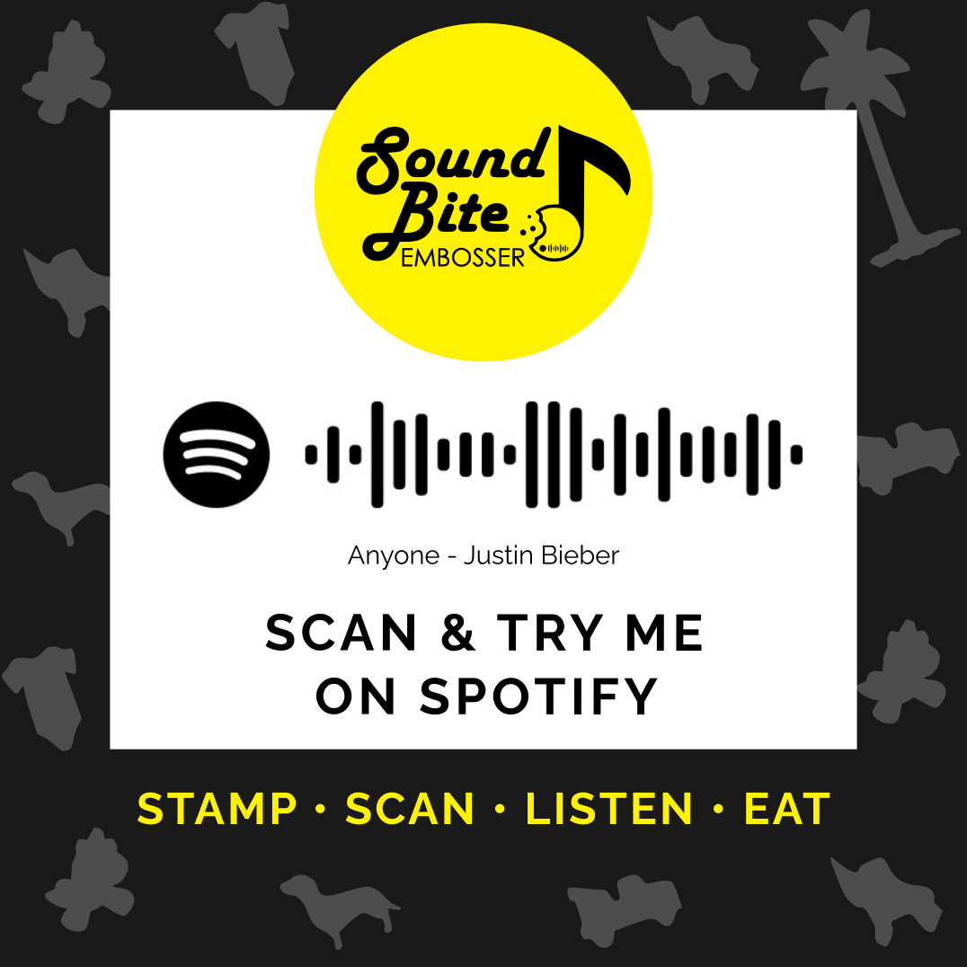 Anyone (Justin Bieber) - Sound Bite