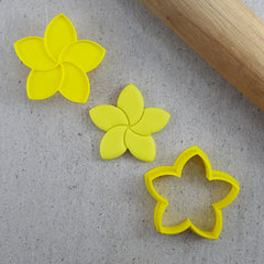 Frangipani Mini Cutter & Embosser Set