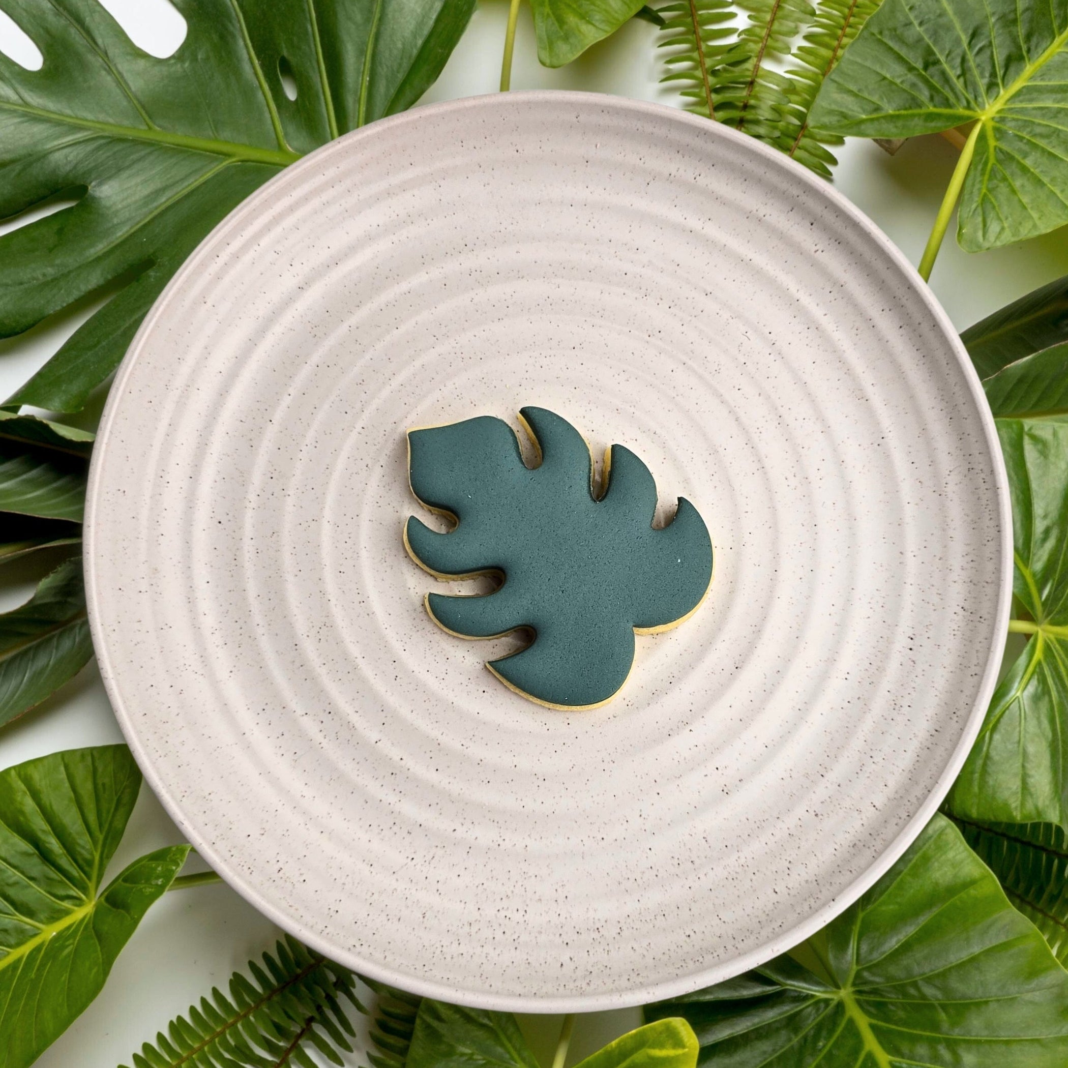 monstera leaf cutter Monstera Leaf Cutter
