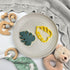 files/Monstera_Leaf_Cutter_CUT200_02.jpg