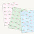 files/SPD31_Stripe_Tulip_Mock-Up_01.jpg