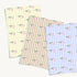 files/SPD31_Stripe_Tulip_Mock-Up_02.jpg