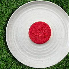 Sports Balls Pattern Plate