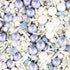 Snow Kingdom Sprinkles 100g