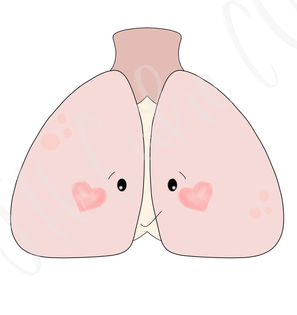 Lungs